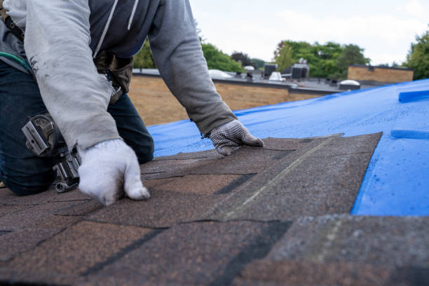 Best Green or Eco-Friendly Roofing Solutions  in Wrens, GA