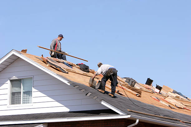 Best Solar Panel Roofing Installation  in Wrens, GA