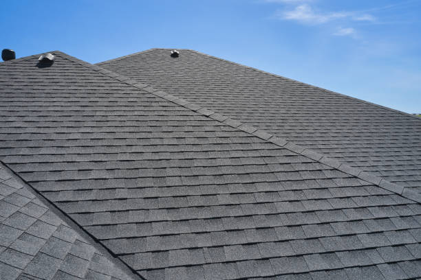Best Gutter Installation and Repair  in Wrens, GA