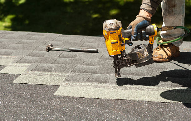 Best Roof Moss and Algae Removal  in Wrens, GA